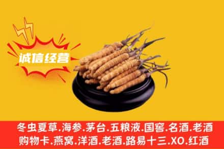 东莞市谢岗镇回收冬虫夏草